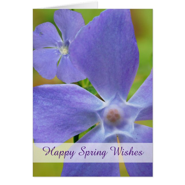Cartão Feliz Primavera Flor de Vinha Roxo (Frente)
