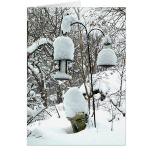 Cartão Feliz Primeiro Dia do Humor Card de Primavera Wisc