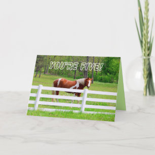 Cartão Feliz Quinto Aniversário - Paint Horse Card