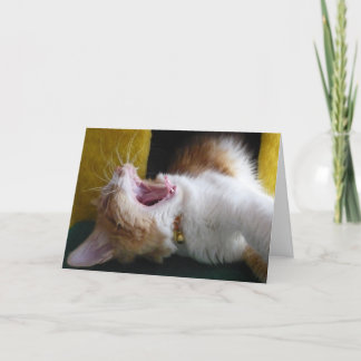 Cartão Feliz (Sonolento) Aniversário - Gatinho Bocejando