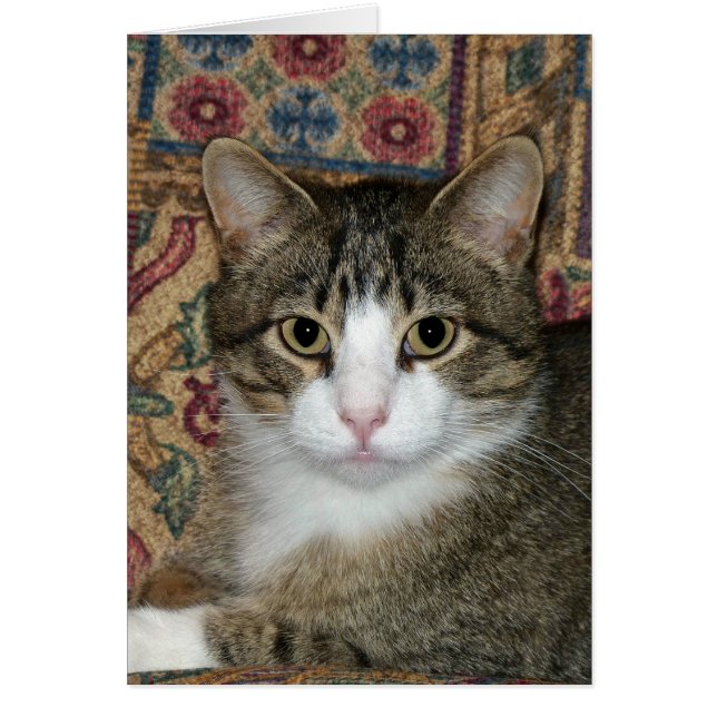 Cartão Fellow bonito (Frente)