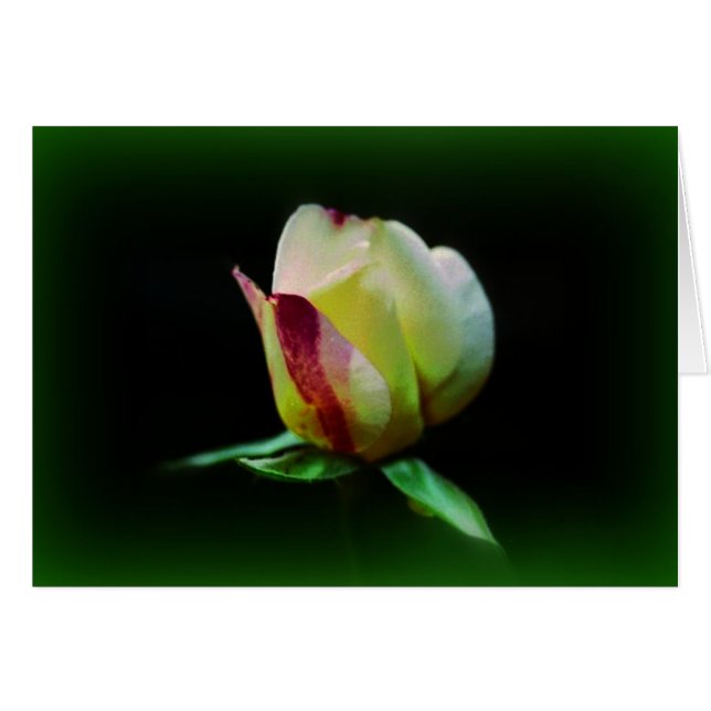 Cartão "Fellowship On Path" (Frente horizontal)