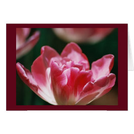 Cartão "Fellowship On Path"