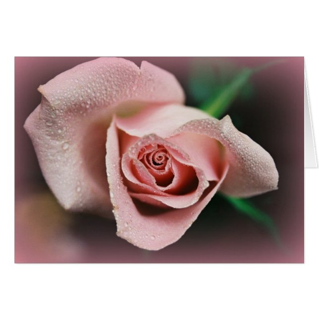 Cartão "Fellowship On Path" (Frente horizontal)