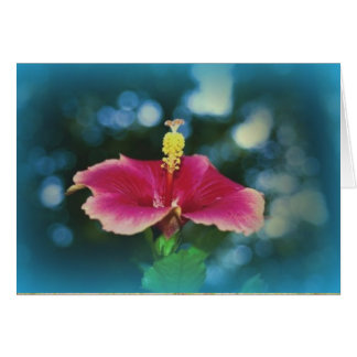 Cartão "Fellowship On Path"