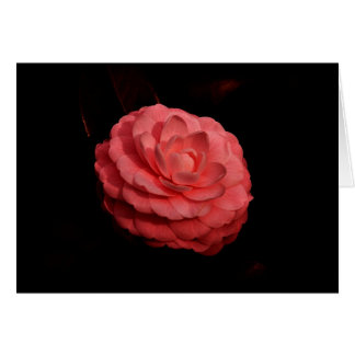 Cartão "Fellowship On Path"