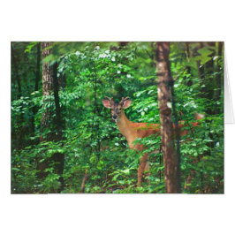 Cartão "Fellowship On Path"