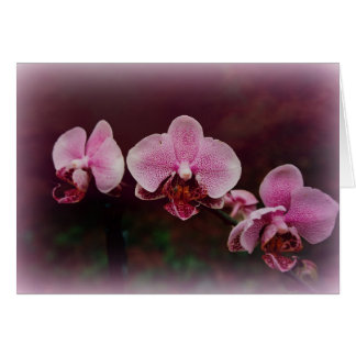 Cartão "Fellowship On Path"