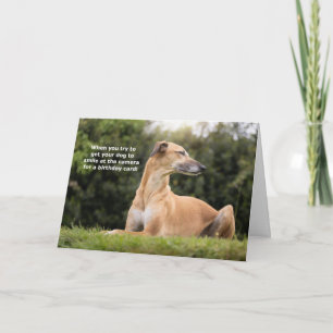 Cartão Felny Greyhound Dog Birthday