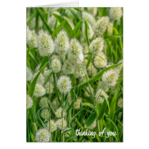 Cartão felpudo rabo de coelho pensando em você