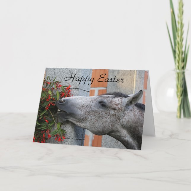 Cartão Felz pascoa do cavalo e das flores (Frente)