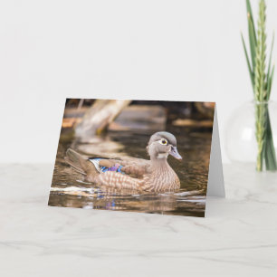 Cartão Female Wood Duck Notecard