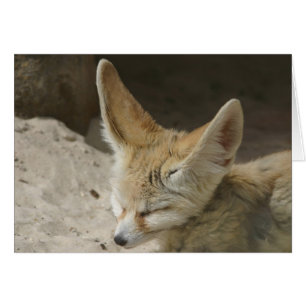 Cartão Fennec Fox