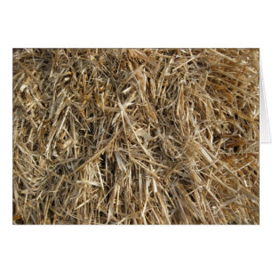 Cartão Feno! Feno! 2