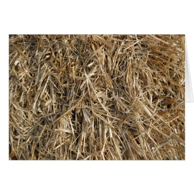 Cartão Feno! Feno! 2 (Frente Horizontal)