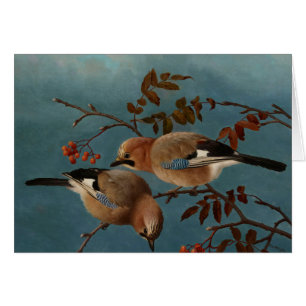 Cartão Ferdinand von Wright - Jays
