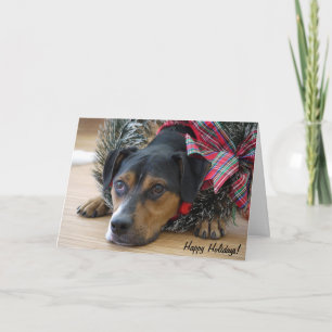 Cartão Feriado "Cookies Papais noeis?"