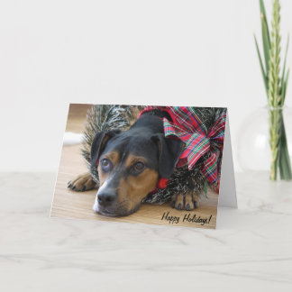 Cartão Feriado "Cookies Papais noeis?"