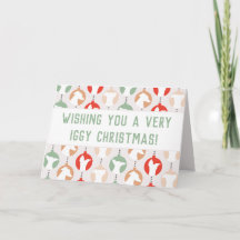 Feriado de Greyhound Italiano de Natal Iggy da fel