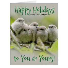 Cartão Feriado de Natal da Família de Canaviais Encantado