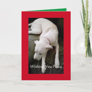Cartão Feriado de Natal de Cachorro Branco e Paz com Sono