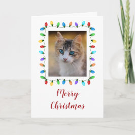 Cartão Feriado Feriado Luzes de Pet Foto Natal