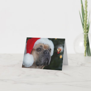 Cartão Feriados De Abelhas.