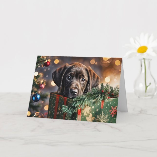 Cartão Feriados de Natal Chocolate Bonito Labrador (Planta pequena)