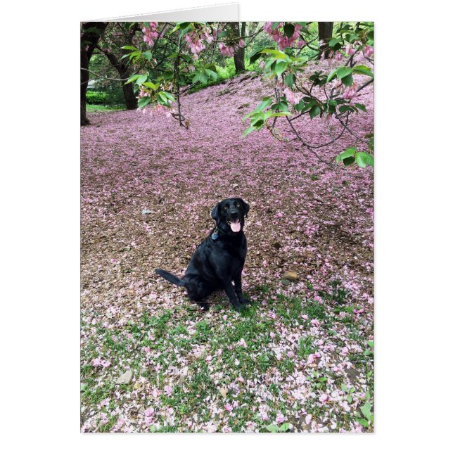 Cartão Férias da primavera (Frente)