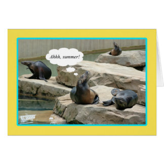 Cartão Férias de Verão! Tempo para a chillaxina