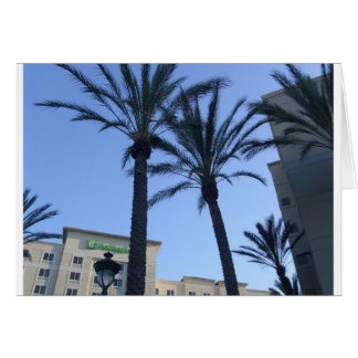 Cartão Férias Twin Palms California