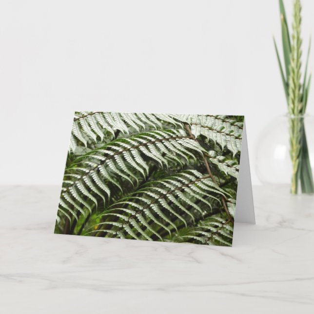 Cartão Fern Fronds II Dark Green Nature (Frente)