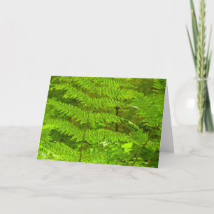 Cartão Fern Fronds III Natureza Verde Botânica