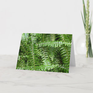 Cartão Fern Frontes I Green Nature