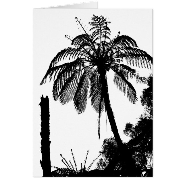 Cartão Fern Trees, Silhouette Silver Fern / Nova Zelândia (Frente)