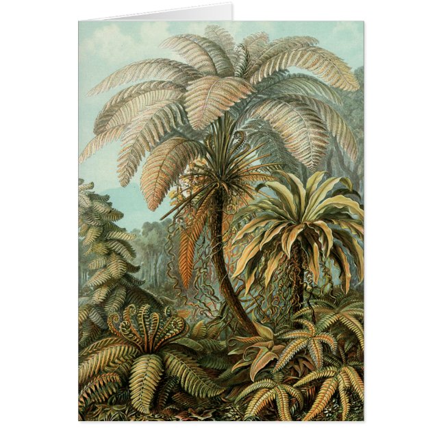 Cartão Ferns Palm Tree Arte Botânica Antica (Frente)