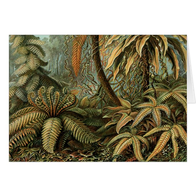 Cartão Ferns Palm Tree Arte Botânica Antica (Frente Horizontal)