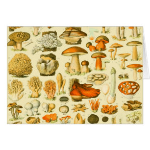 Cartão Ferramentas de Vintagem de Cogumelo Arte Botânica
