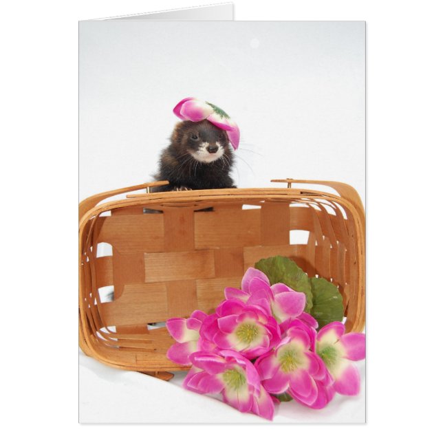 Cartão Ferret (Frente)
