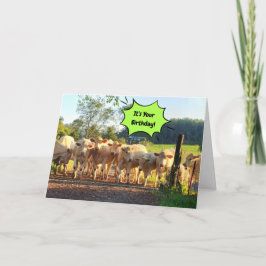 Cartão Festa Até As Vacas Chegarem Em Casa Aniversário