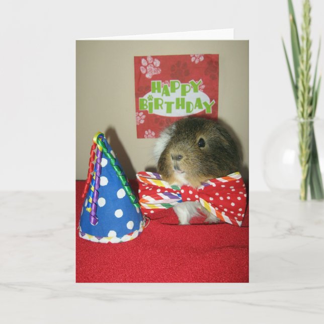 Cartão Festa de aniversário de Baci (Frente)