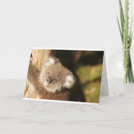 Cartão Festa de Aniversário de Ursinhos Koalás Fofos