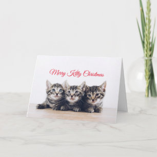 Cartão Festa de Natal para os Gatinhos