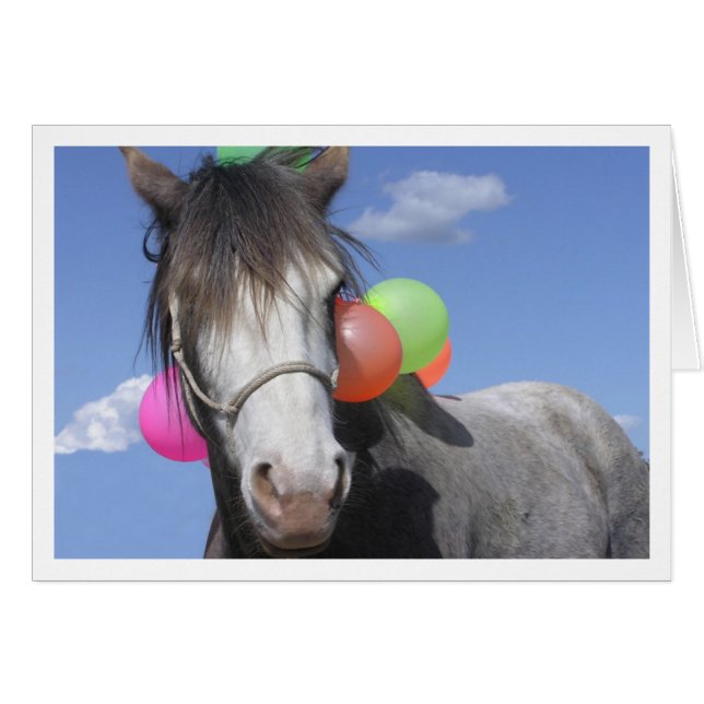 Cartão FestaAnimal (Frente Horizontal)