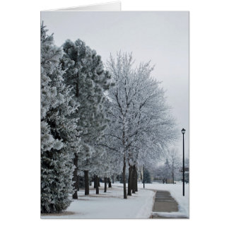 Cartão Fevereiro de 2012 Hoar Frost Grand Forks, Dakota d