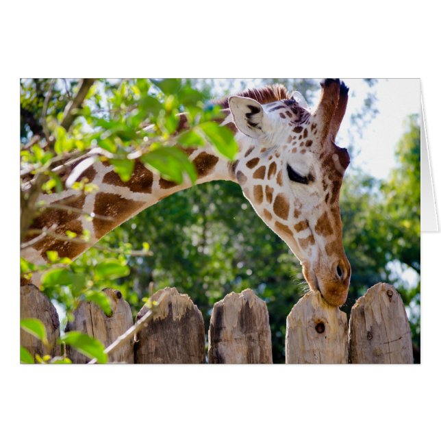 Cartão Fiberlício (Frente Horizontal)