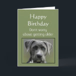 Cartão Ficando mais velho Humor feliz aniversário, cachor<br><div class="desc">Não se preocupe em envelhecer.  Dentro versículo:  Ainda vai fazer coisas idiotas mais devagar.    Feliz aniversário engraçado Velhice ou cartão de animais do Over Hill Dog</div>