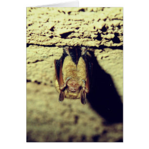 Cartão Ficha de Bat Feliz Halloween