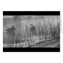 Fidelidade ~ placa de banho de inverno