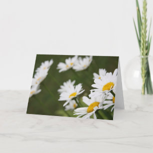 Cartão Field of Daisies - Thinking of You